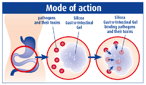 シリシア「Silicea」 胃腸ゲル