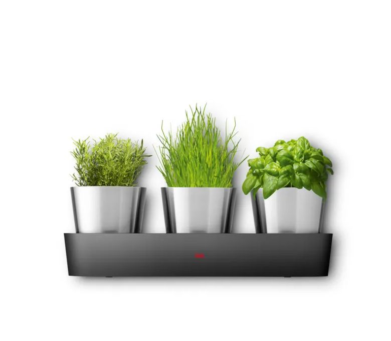 SILIT シリット コレクシオ 室内用ハーブガーデン (3個セット)