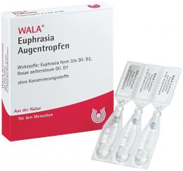 結膜炎や花粉症などの薬用目薬 ドイツ WALA社 ユーフラシア点眼薬 0.5ml×5本